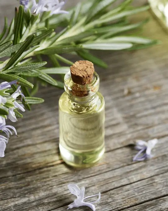 Rosemary Oil Price in Pakistan | روزمیری کا تیل فائدے اور قیمت