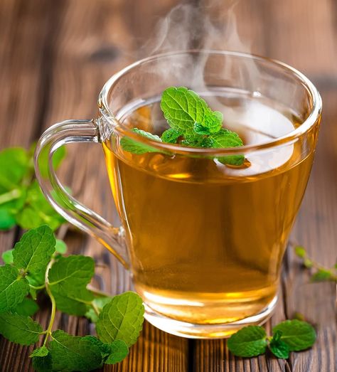 Buy Spearmint Tea in Pakistan | Benefits & Uses (2025)